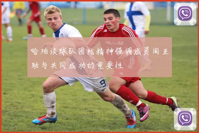 哈珀谈球队团结精神强调成员间互助与共同成功的重要性