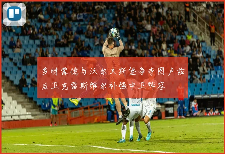 多特蒙德与沃尔夫斯堡争夺图卢兹后卫克雷斯维尔补强中卫阵容
